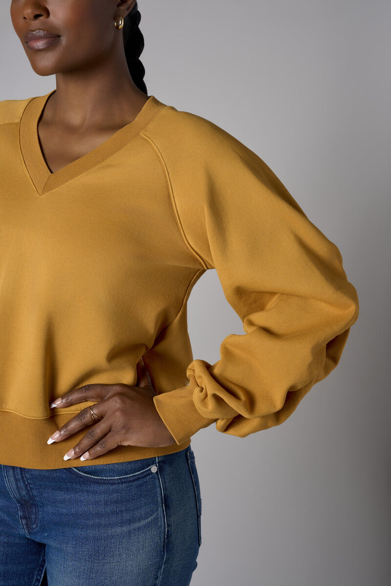 Be unforgettable in the elegant 'Marigold' Zipper Back V-Neck Sweatshirt.