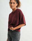 Raisin cropped broome sweater