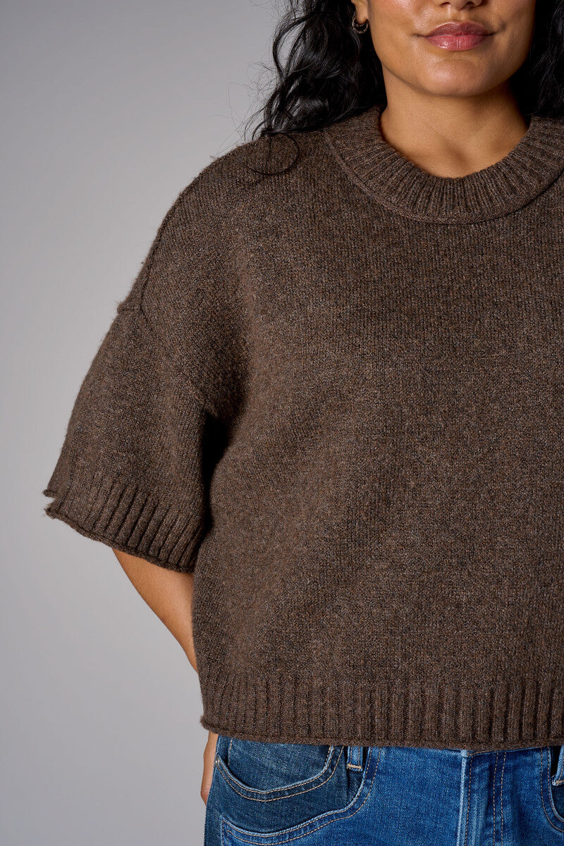 Earth cropped broome sweater