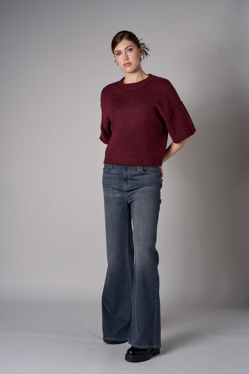 Raisin cropped broome sweater