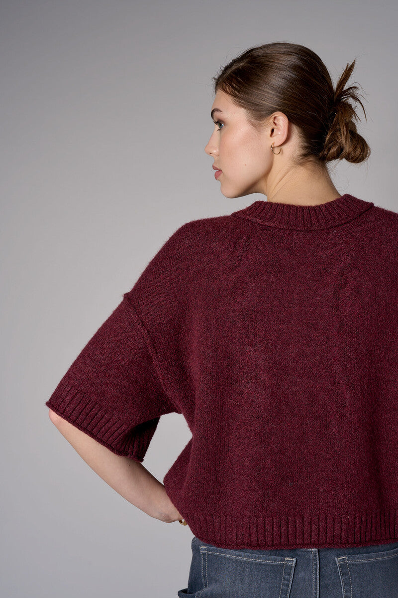 Raisin cropped broome sweater