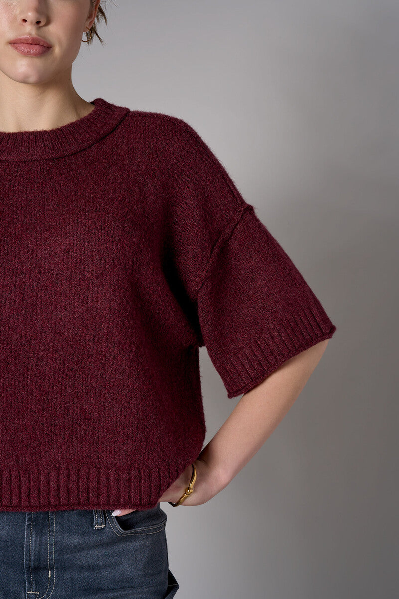 Raisin cropped broome sweater