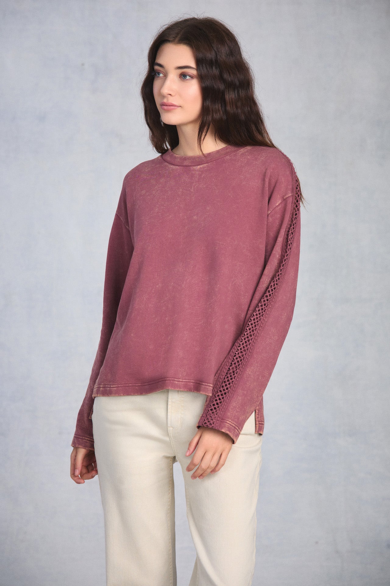 Dusty Rose Crochet Sleeve Sweatshirt