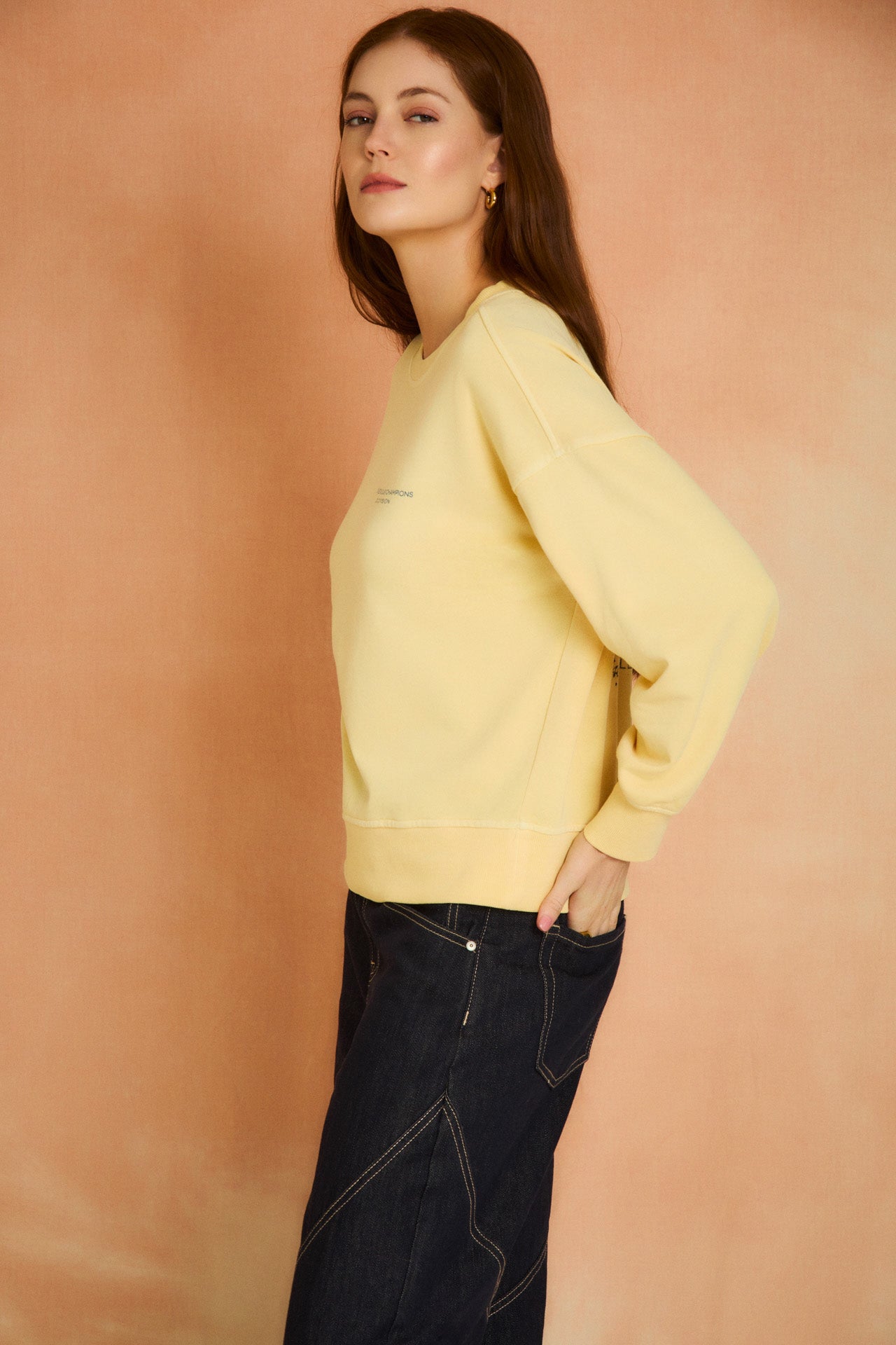 Sunlight Graphic Sweatshirt
