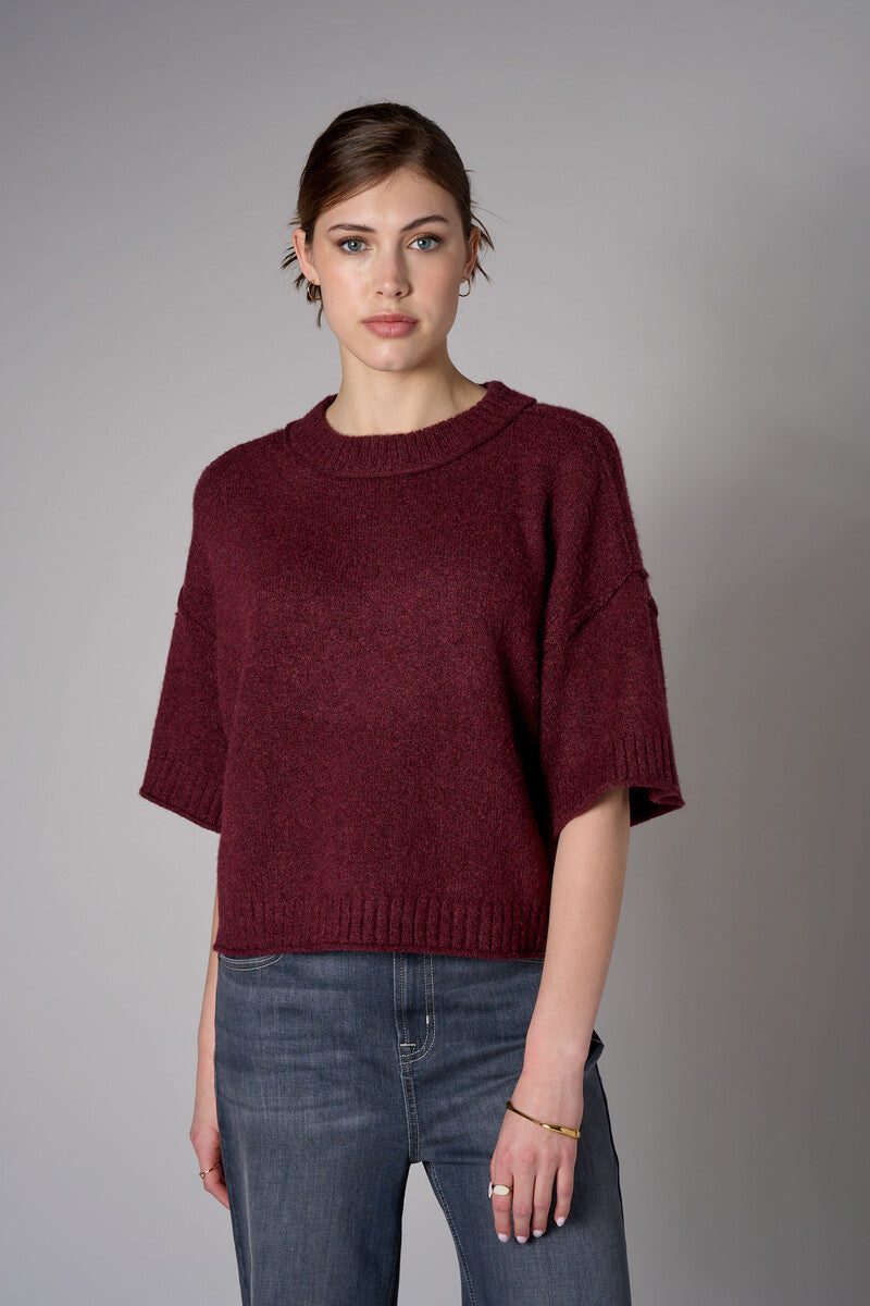 Raisin cropped broome sweater