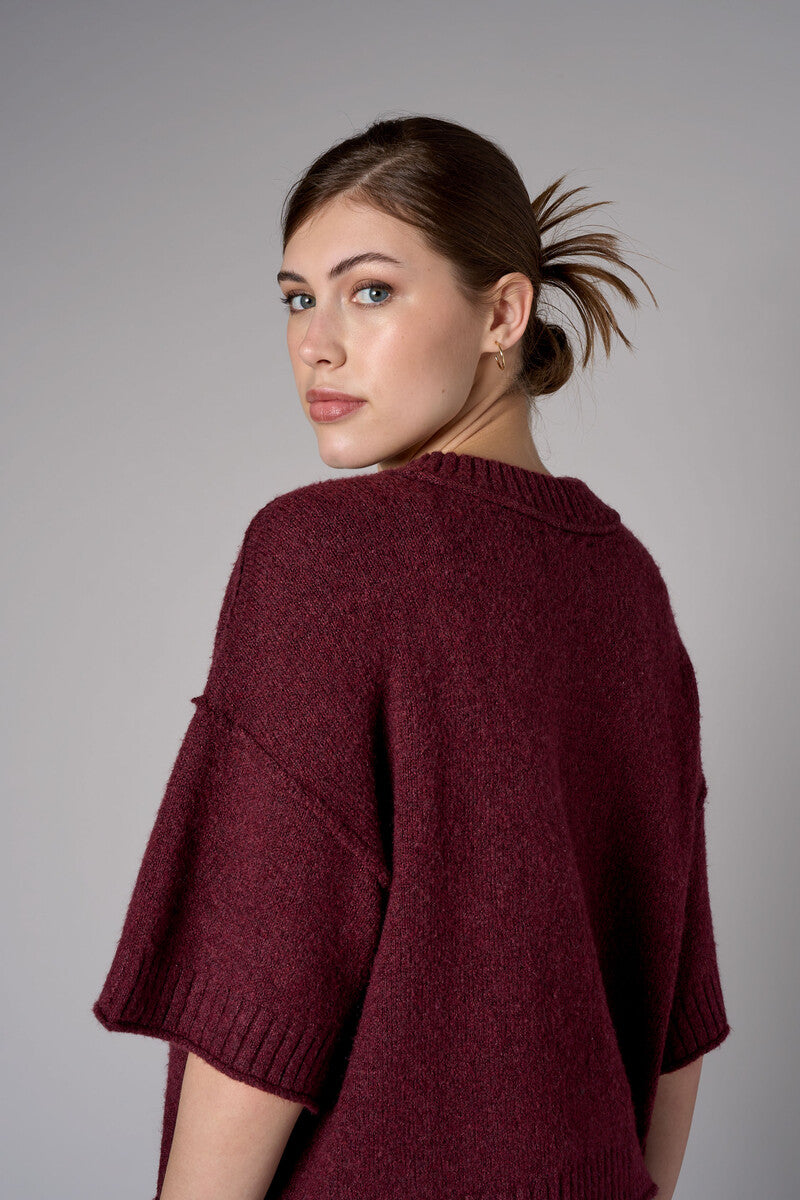 Raisin cropped broome sweater
