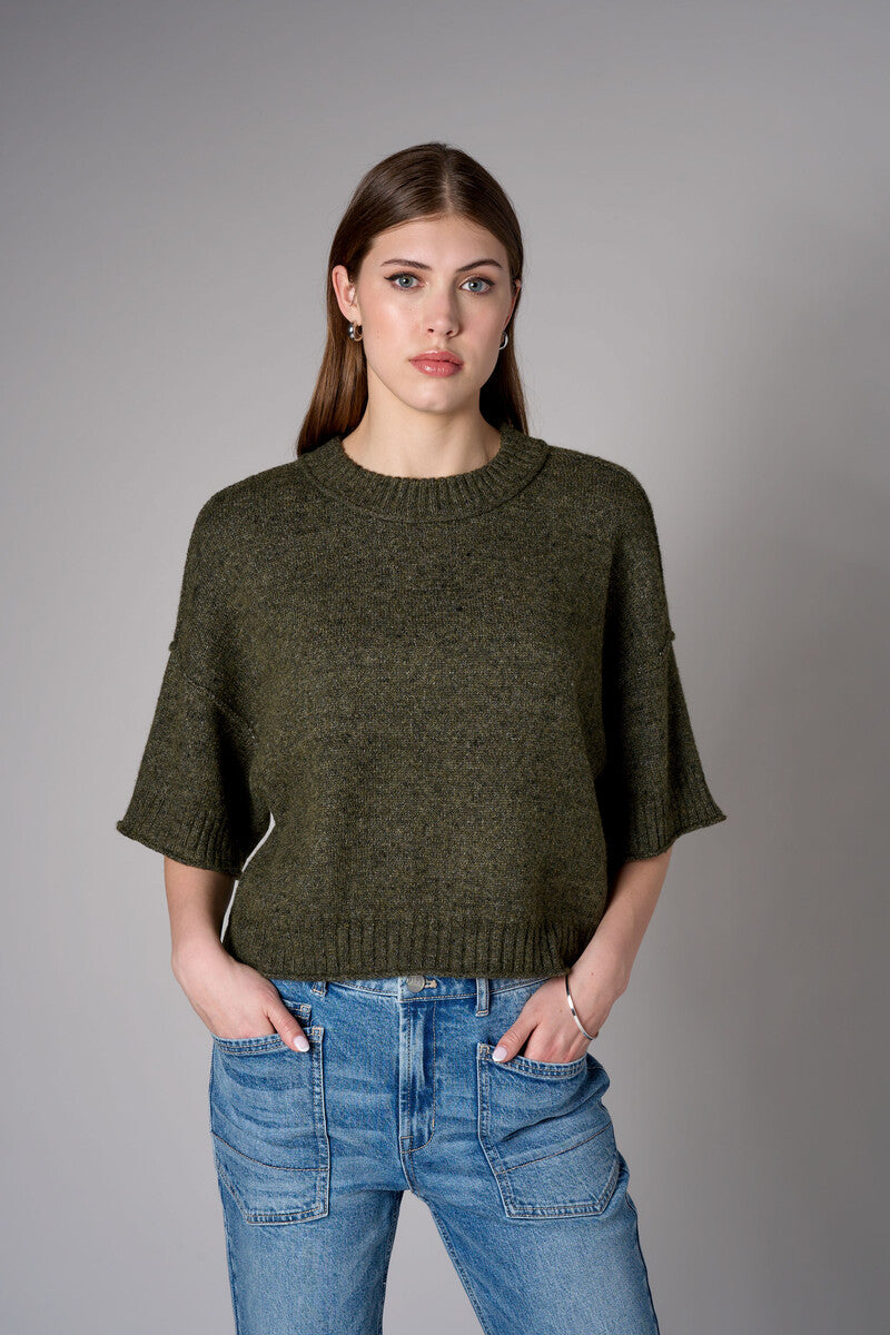 Olive cropped broome sweater
