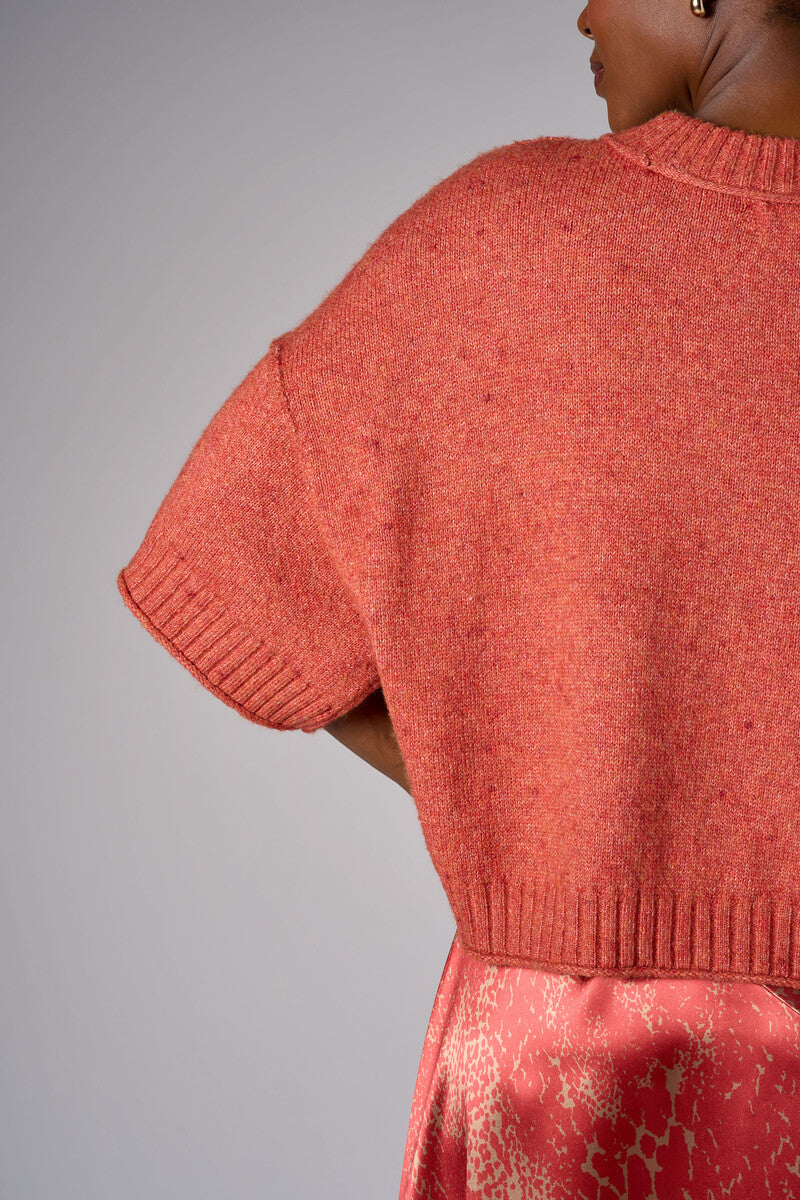 Tea Rose cropped broome sweater