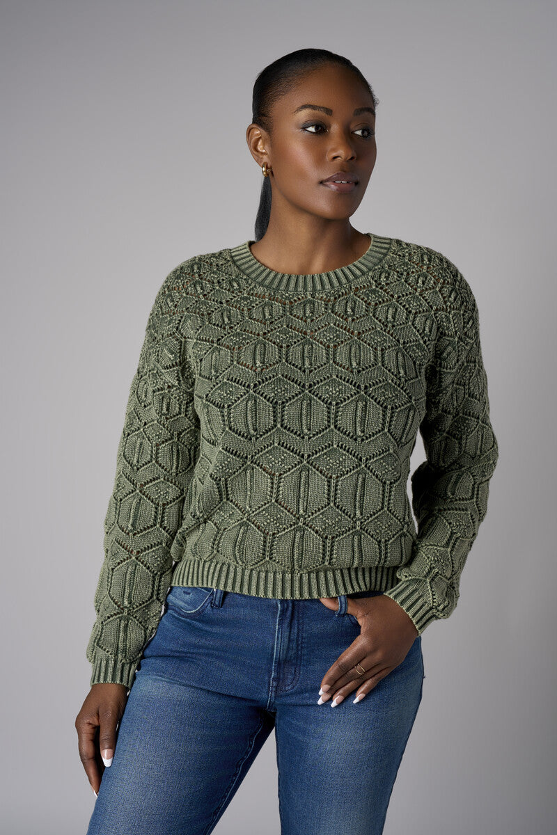 Fall in love with the distinctive 'Olive' Crew Neck Distressed Sweater – a must-have for any wardrobe.