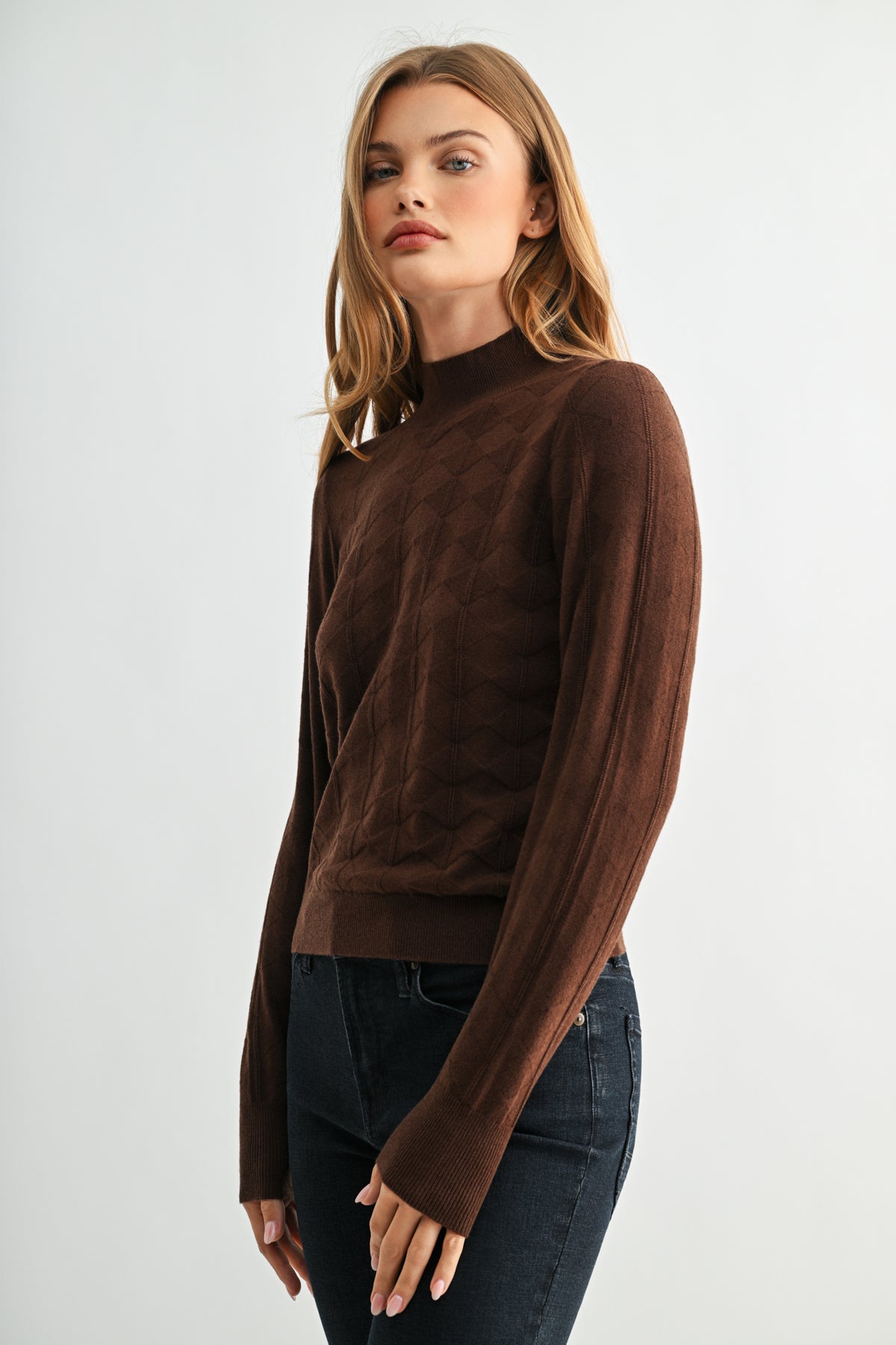 Brown Long Sleeve Mock Neck Sweater