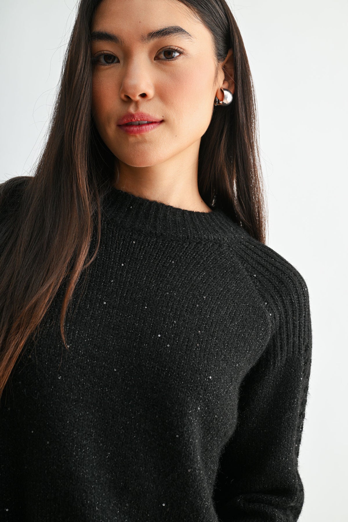 Black Petite Long Sleeve Mock Neck Sweater